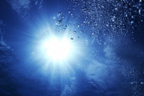 开云官方网页登录-五大联赛球员家庭因素影响竞技状态，五大联赛球员身价表