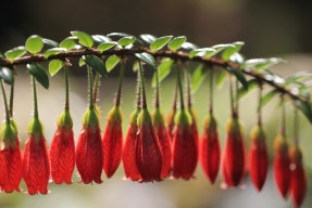 kaiyun体育综合-田径赛引入激励机制促进选手稳定发挥，田径比赛流程