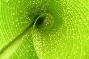 kaiyun开云·官方网站-PSG门将多次化险为夷，遗憾无缘胜利，psg esports