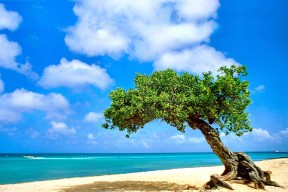 开云官网APP下载-中超球员联赛出勤率上升整体职业态度更为端正，中超联赛薪资