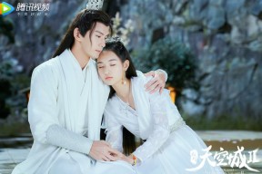 kaiyun官方网站-运动员技能竞赛组织方案设计，运动员竞技能力结构模型