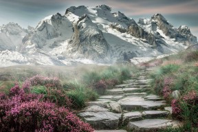 kaiyun官方网站-利物浦在欧冠赛场奋勇争先，目标再登顶