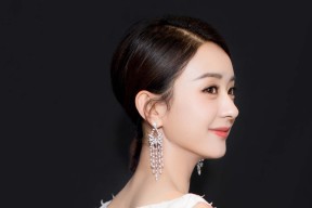 kaiyun官方网站-“阿根廷美洲狮队的‘铁血防守’：马丁·高尔西的战术创新”