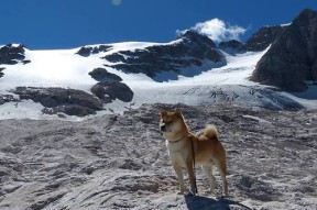 Kaiyun APP-意甲细腻控球：展现足球的艺术魅力，意大利足球控球率