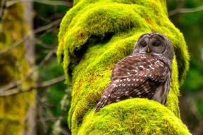 开云官网-俱乐部启动退役球员就业辅导 项目获好评，退役球队