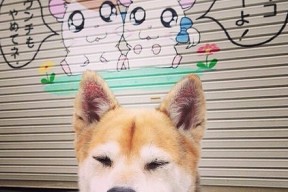 开云·体育官网-“高能来袭！运动舞蹈让金牛区城北体育馆成为激情澎湃的竞技舞台”