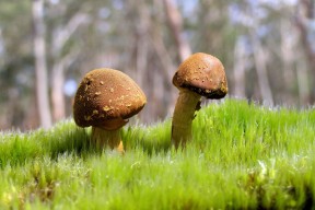 kaiyun体育app-裁判员轮换制度优化，减少争议判罚与疲劳因素，裁判员是否允许被替换下场队员不在中线处出场