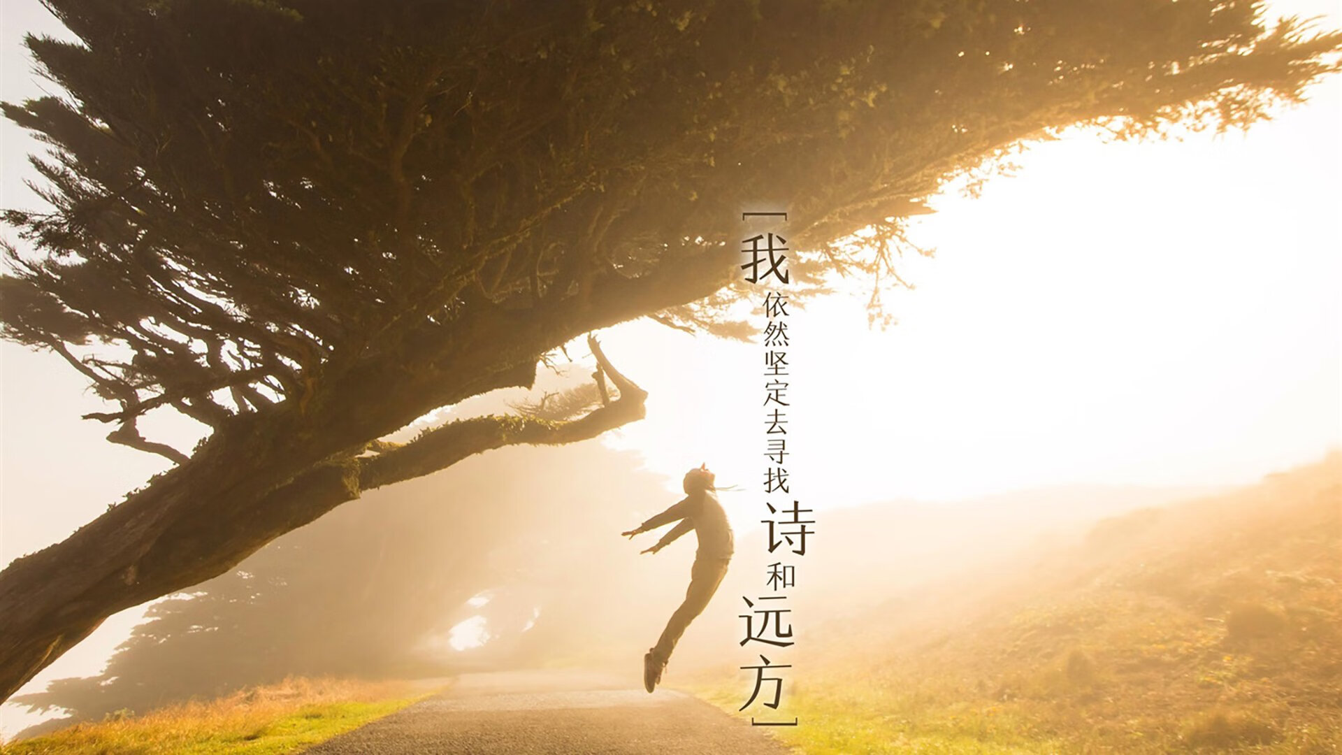 篮球专项动作捕捉技术在训练中的创新应用,篮球抓拍技巧