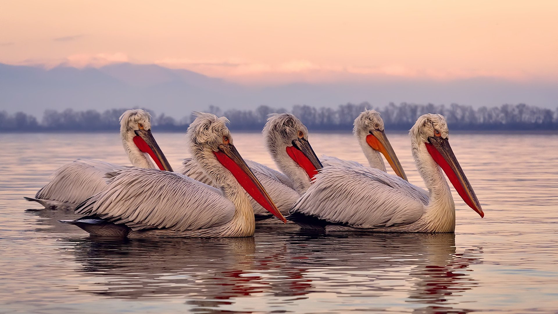 高校体育教师信息化教学实践,体育教师信息技术应用能力