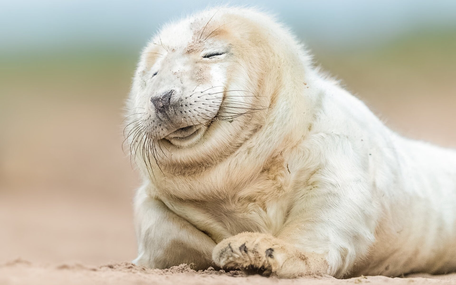 CBA联盟推进俱乐部品牌建设,cba联盟组织架构