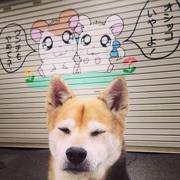 “高能来袭!运动舞蹈让金牛区城北体育馆成为激情澎湃的竞技舞台”