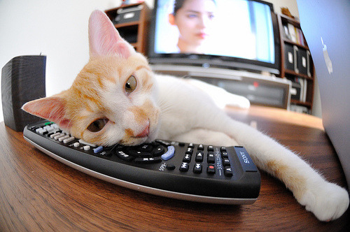 国家队传球体系为何缺乏多层次转换,传球队员一般应把球