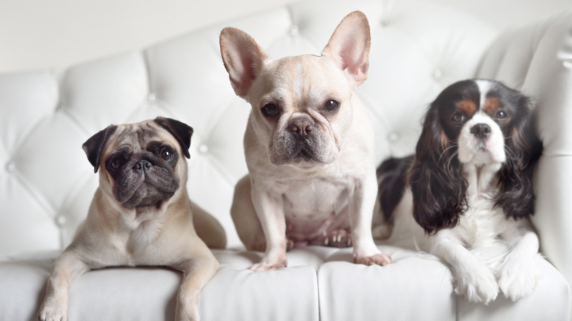 仰泳技术扎实摩纳哥保持优势，仰泳示范视频