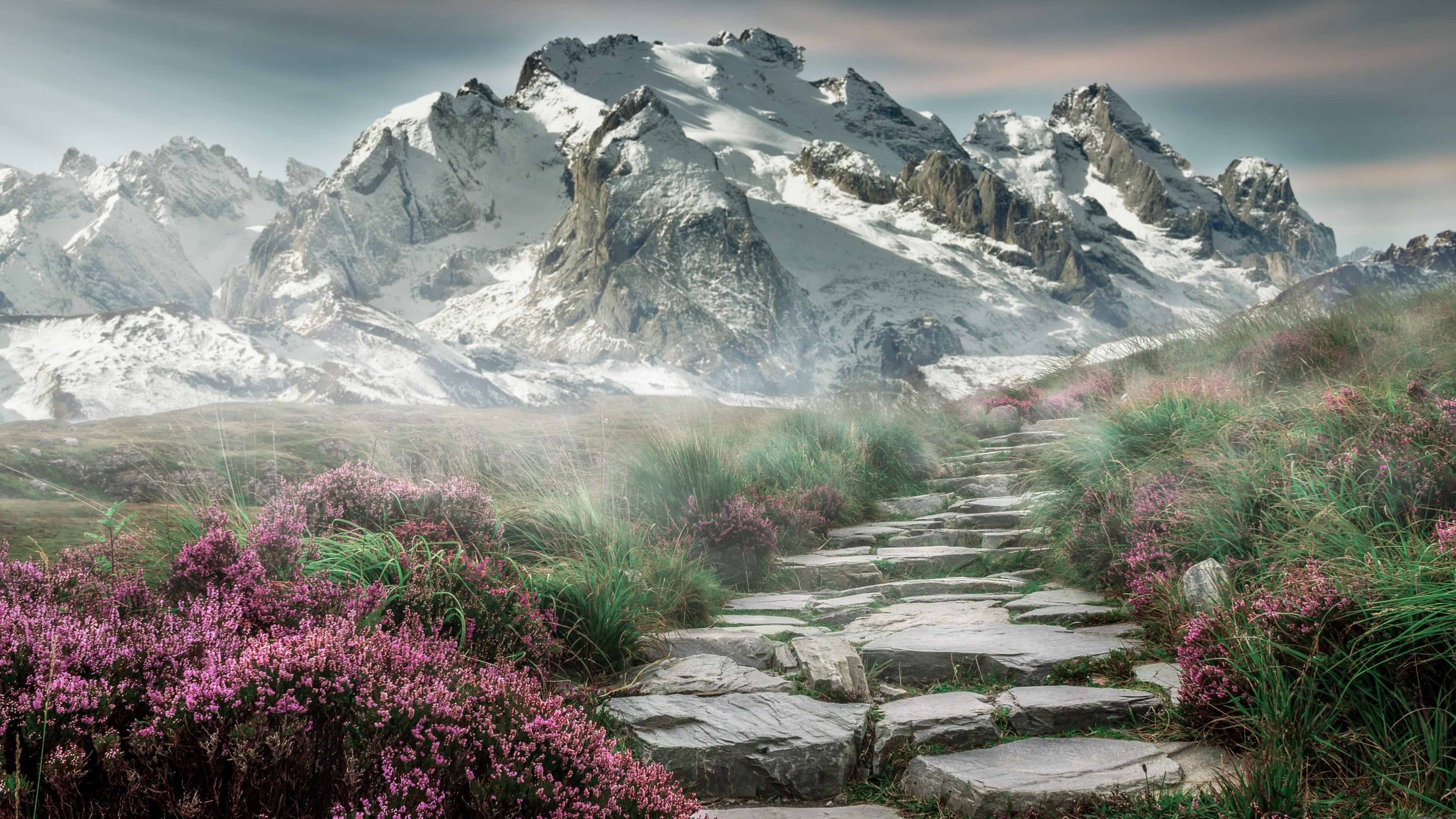 利物浦在欧冠赛场奋勇争先,目标再登顶