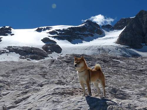 意甲细腻控球：展现足球的艺术魅力，意大利足球控球率