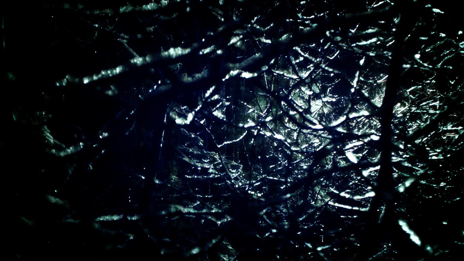 梅西带领阿根廷稳步前行，冲刺2026世界杯