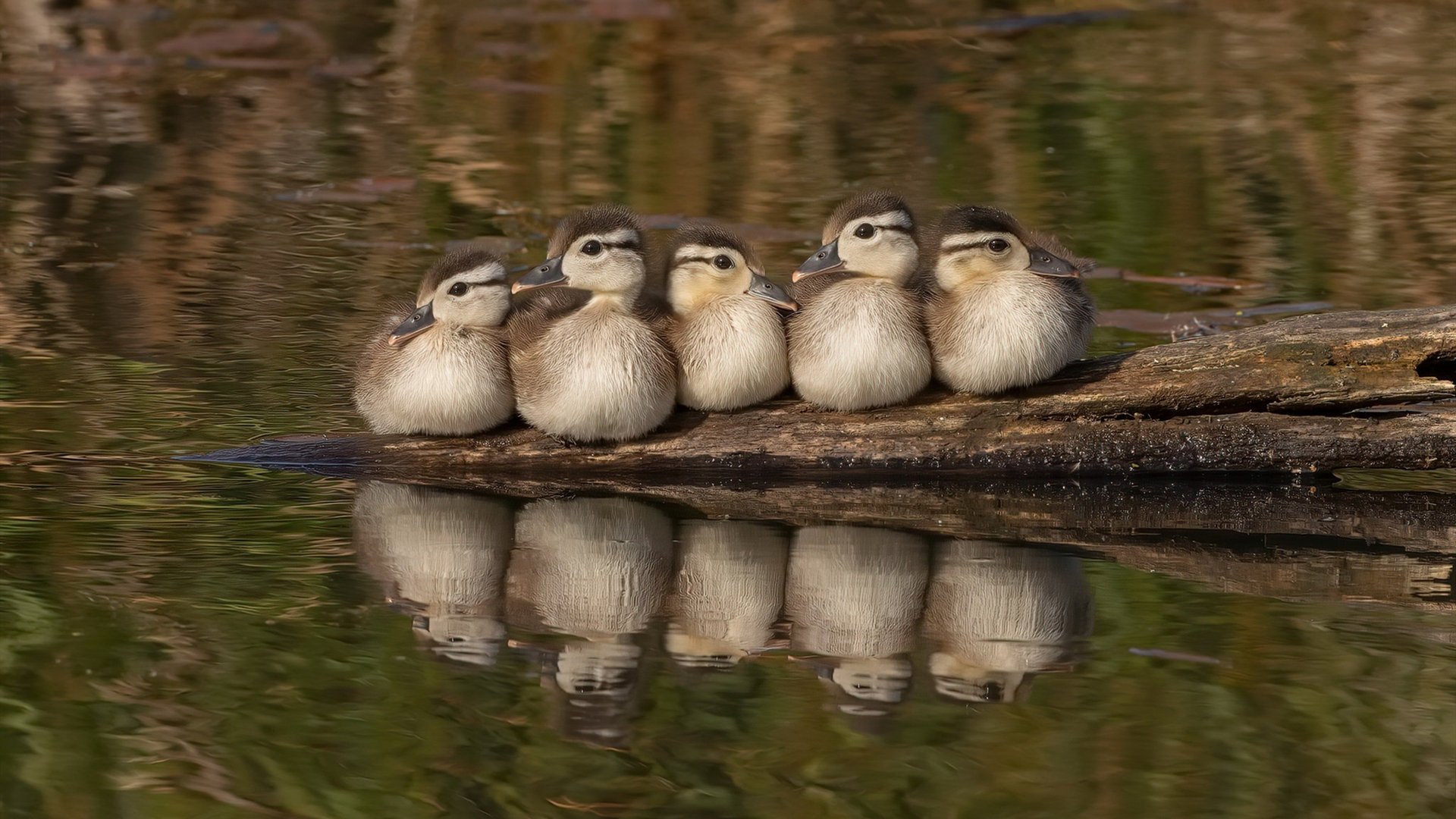 欧洲杯逆转奇迹：战术变化，奇迹诞生！，欧洲杯奇迹再现