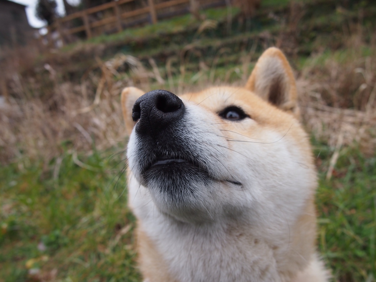 篮球联赛客场胜率成热门话题，篮球比赛主客场赛制