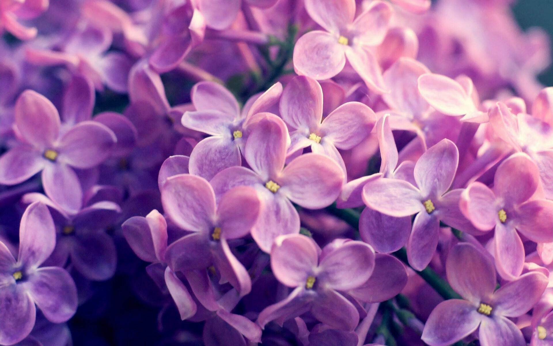 中国足球职业联赛推广足球科技创新应用，足球推广学校