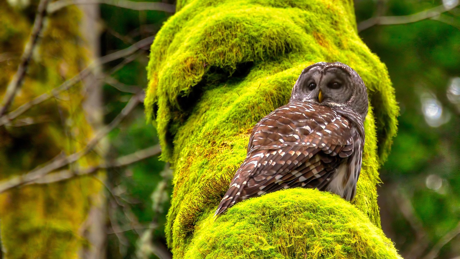 俱乐部启动退役球员就业辅导 项目获好评，退役球队