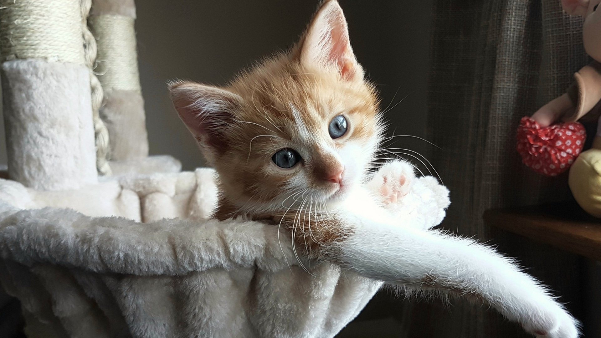 俱乐部积极布局“青少年+产业链+绿色生态”新格局，行业绿色转型在即